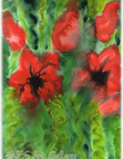 Anemones