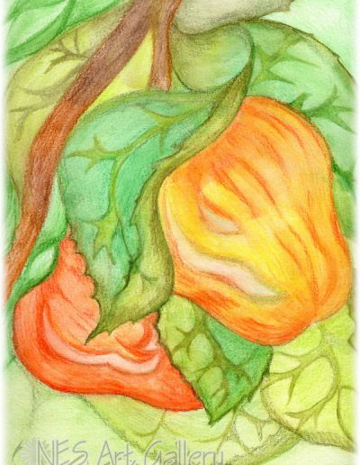Apples two