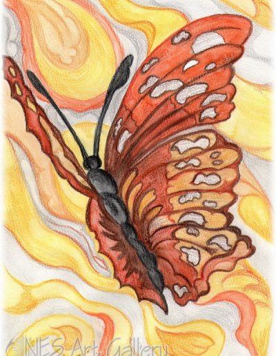 Butterfly