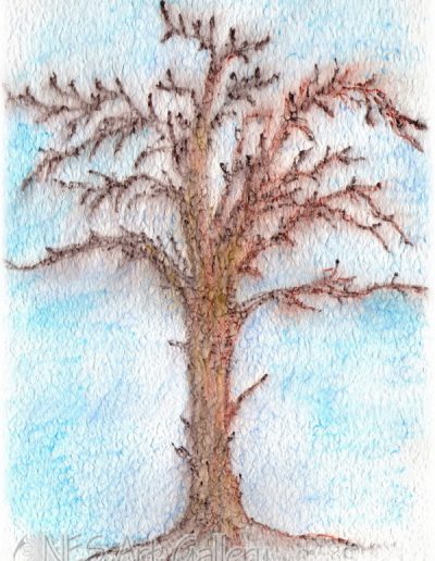 December tree