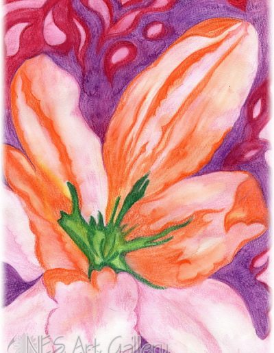 Lily