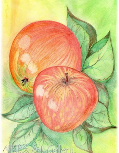 Apples one
