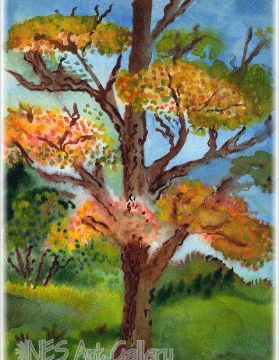 September Tree